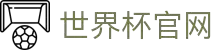 世界杯官网 - 一网连接全球足球狂欢"
